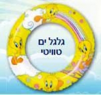 גלגל 24' - טויטי